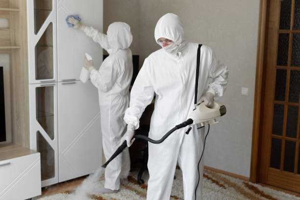 Best Local Mold Removal Service  in Johnson, AR