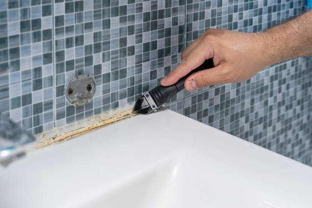 Trusted Johnson, AR Mold Removal Experts